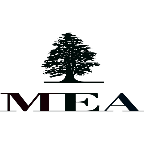 Middle East Airlines